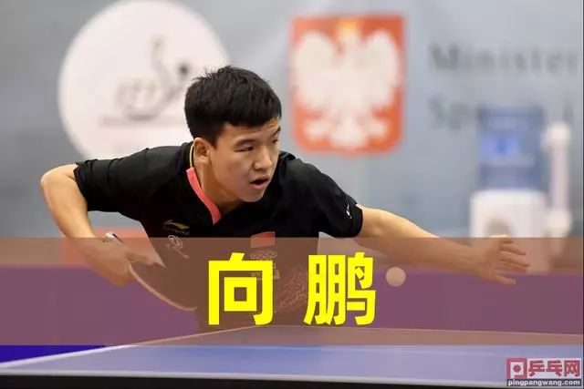 根源问题或 根源问题或