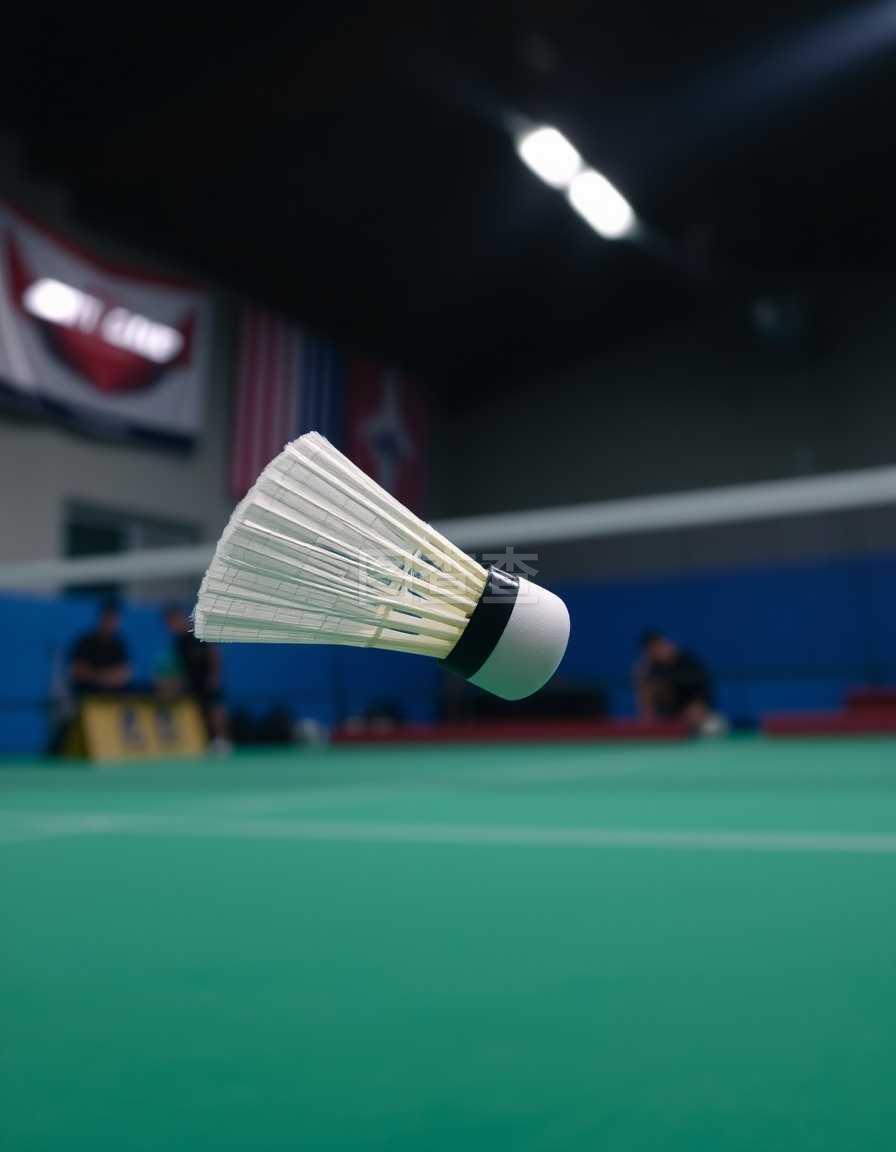 展示了20 展示了20