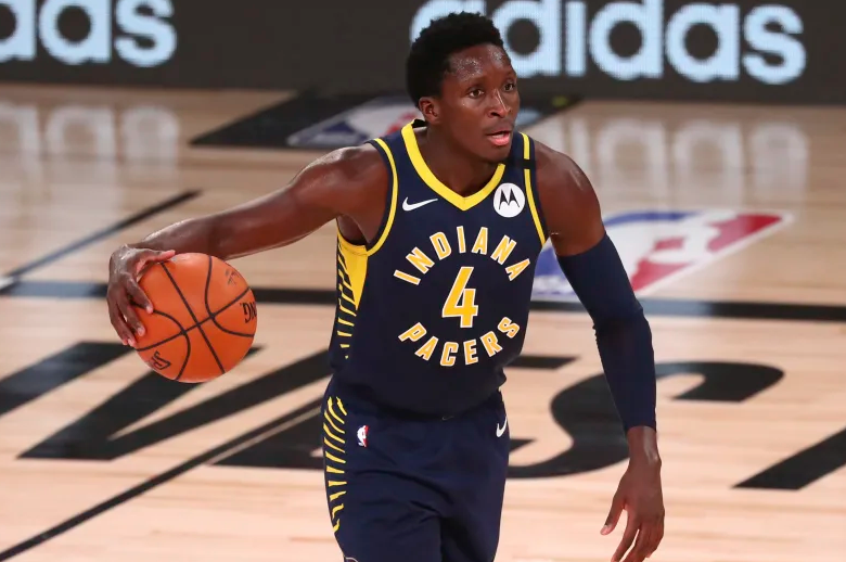 浙江东阳光 浙江东阳光